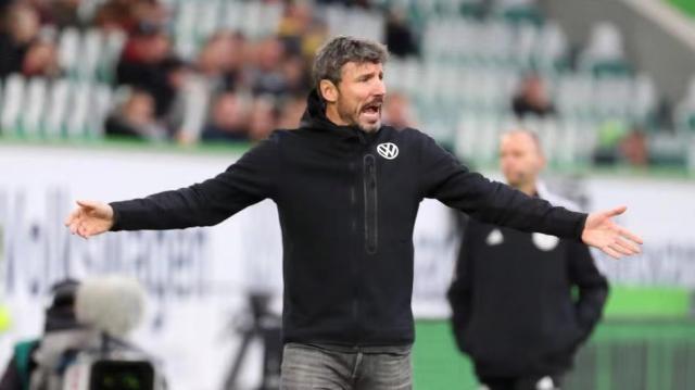 运动精神的 运动精神的